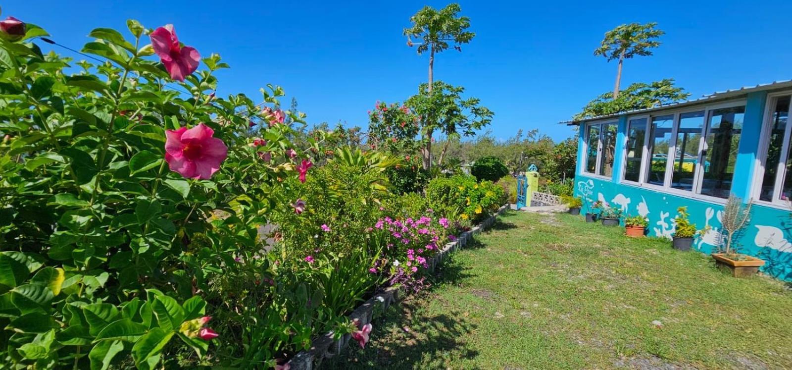 Tilapasse Resto & Guest House Port South East Esterno foto